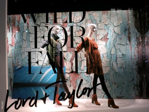 我们熟悉的陈列师都有哪些的种类